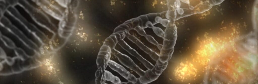 Diagnosi Preimpianto: i convegni del 29 e 30 novembre a Roma – Centro Demetra