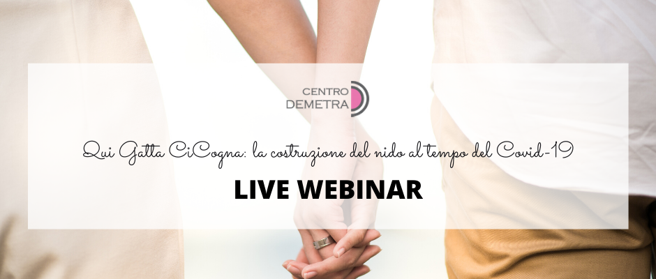 Qui Gatta CiCogna: la costruzione del nido al tempo del Covid-19 – Centro Demetra